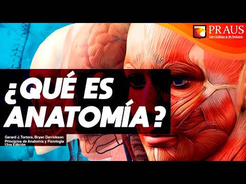 Anatomía y fisiología: los aparatos y sistemas del cuerpo humano