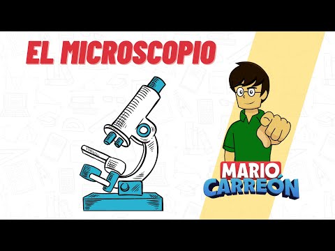 El microscopio: clave para el conocimiento de las células