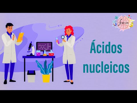 La constitución de los ácidos nucleicos: ¿Cómo están formados?