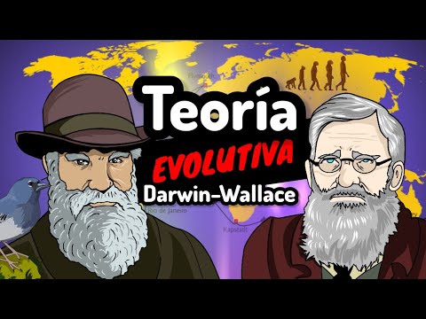 Teoría de la evolución del caballo según Darwin y Wallace.
