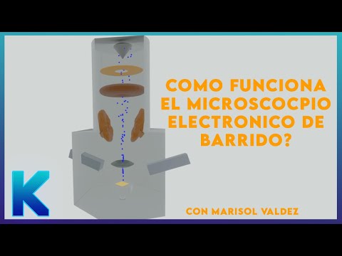 Fundamentos de la microscopía electrónica de barrido