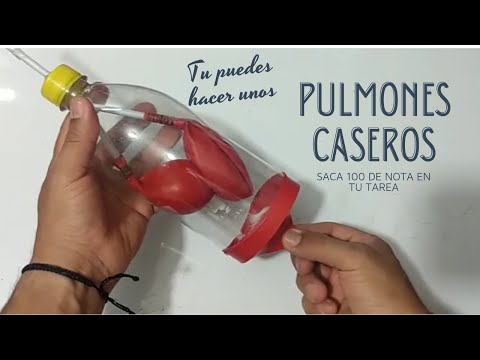 Cómo hacer unos pulmones con globos: una manualidad divertida.