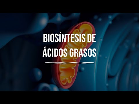 Biosíntesis de ácidos grasos de cadena larga: una visión general.
