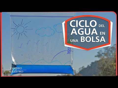 Actividades para trabajar el ciclo del agua en preescolar