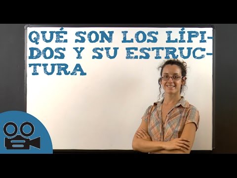 Características estructurales de los lípidos: un análisis detallado.