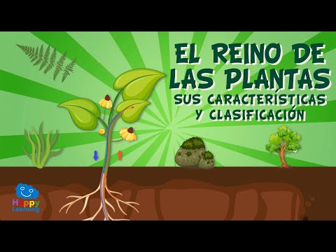 ¿Cuáles son las características de las plantas en la naturaleza?