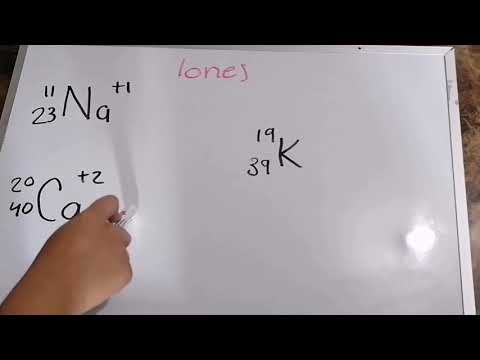 Cómo calcular el número de electrones, protones y neutrones en un átomo