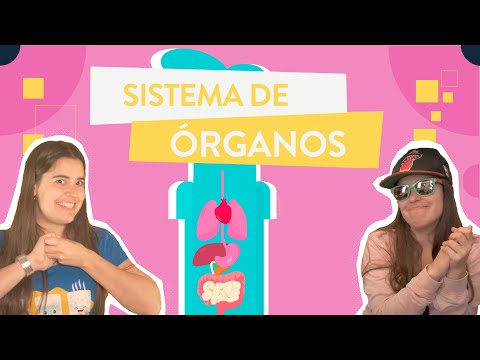 Explorando los tejidos, órganos y sistemas del cuerpo humano