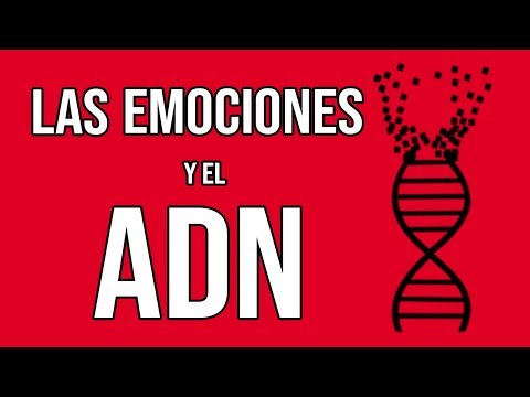 El ADN se puede modificar: 5 ejemplos para entenderlo