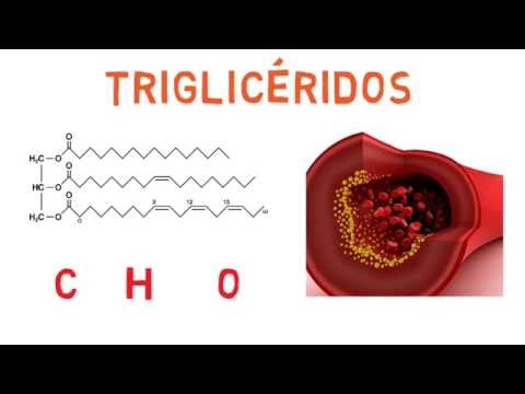 ¿Cuáles son los componentes de un triglicérido?