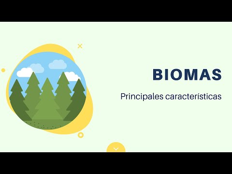 La relación entre los biomas y la biosfera: ¿cuál es?