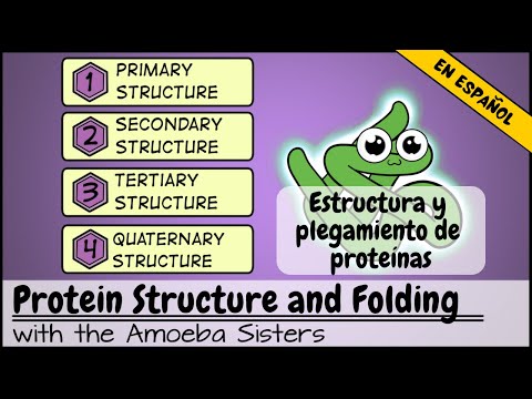 La estructura terciaria de las proteínas: hoja plegada y funcionalidad.