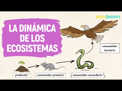 Dinámica general de los ecosistemas: un análisis en profundidad