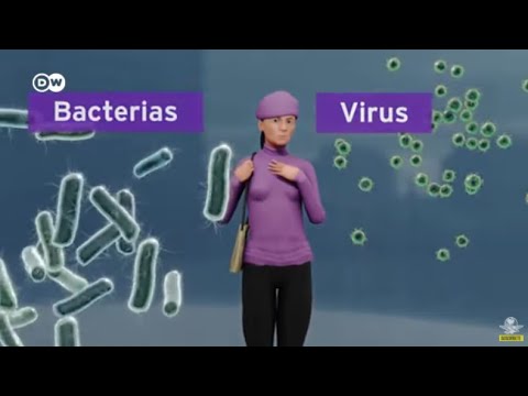 ¿Qué nombre se le da a los virus que atacan a las bacterias?