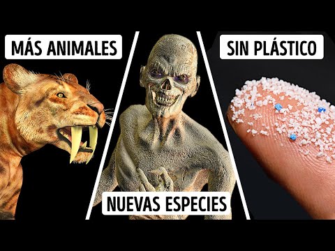 Qué pasaría si no existieran los animales en nuestro mundo