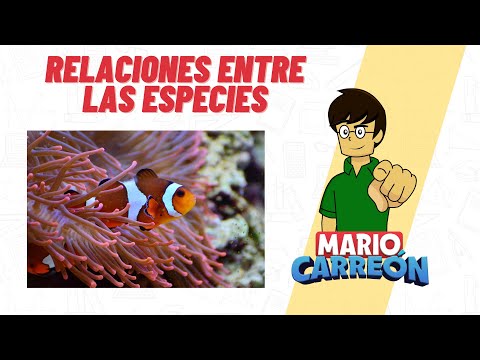 La relación entre ecología y biología: ¿cómo se conectan?