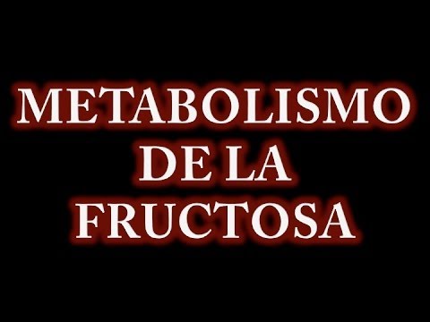 Metabolismo de la fructosa: la bioquímica detrás de su procesamiento