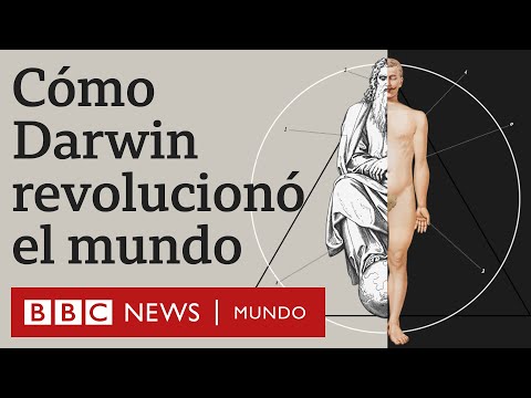 Darwin: la evolución del caballo según el famoso naturalista