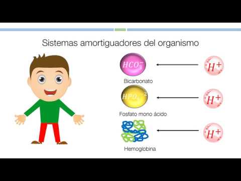 Soluciones amortiguadoras en los sistemas biológicos: clave para el equilibrio.