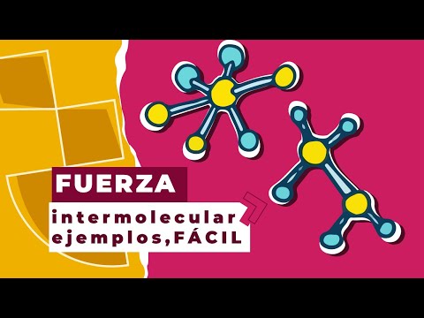 fuerza de atraccion entre moleculas