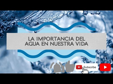 Esquema: La Importancia del Agua en Nuestra Vida