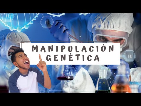 Ventajas y desventajas de la manipulación del ADN: un análisis completo.