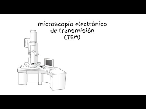 Características del microscopio electrónico de transmisión: un análisis completo