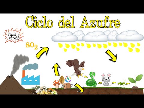 La importancia del ciclo del azufre: una perspectiva fundamental.