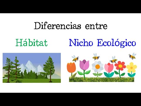 El hábitat: el área específica donde vive un organismo