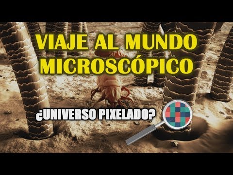 Descripción macroscópica y microscópica del Universo: una visión detallada.