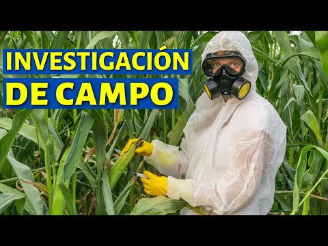 Ejemplos de investigación de campo en la vida diaria