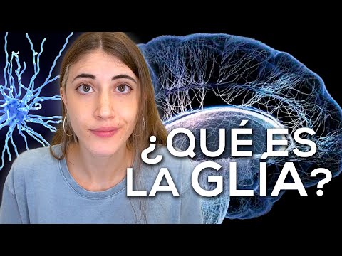 La diferencia entre neurona y neuroglía: una explicación breve.