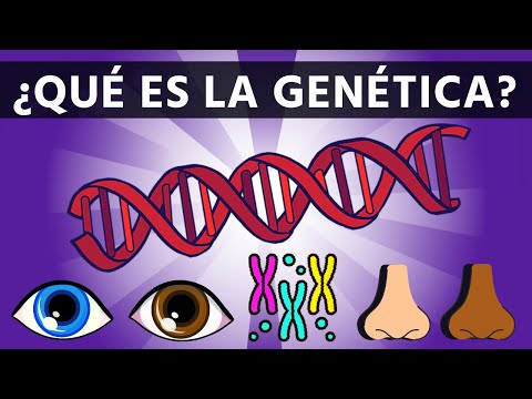 Conceptos, importancia y relevancia de la genética en la actualidad