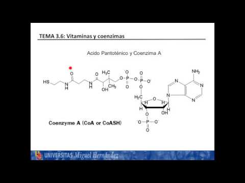 La estructura química de la vitamina B5: un análisis breve.