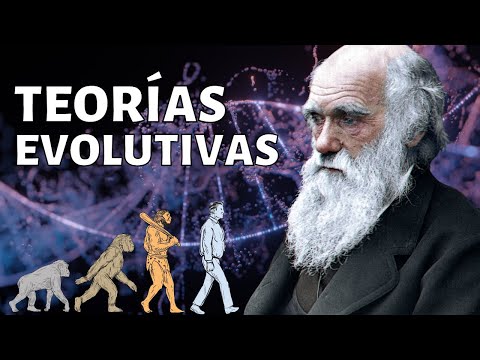 Descripción de la evolución del concepto: una visión general