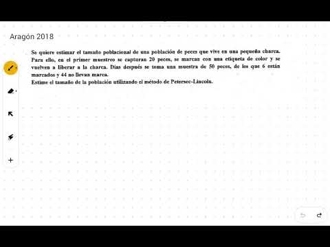 Método de captura y recaptura: ecología en acción