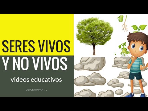 Ejemplos de seres no vivos o inertes: una revisión interesante