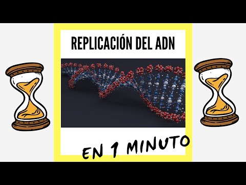 Inhibidores de la replicación del ADN: una herramienta esencial en medicina.