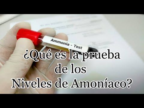 La diferencia entre amonio y amoniaco: ¿Cuál es la distinción?