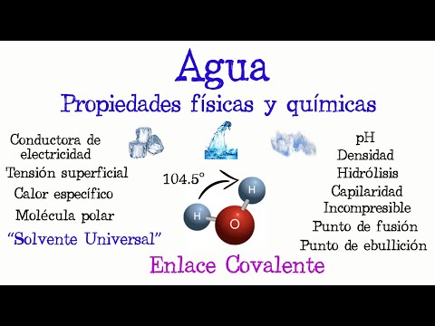 Propiedad universal de la materia: una característica común en todas partes.