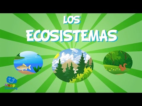 Características del ecosistema terrestre: explorando su diversidad y equilibrio.