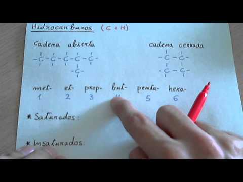 Fórmula general, isomería y fuentes de obtención de los hidrocarburos