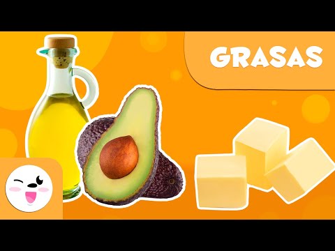 ¿Cuántos tipos de grasas hay en los alimentos y su importancia?