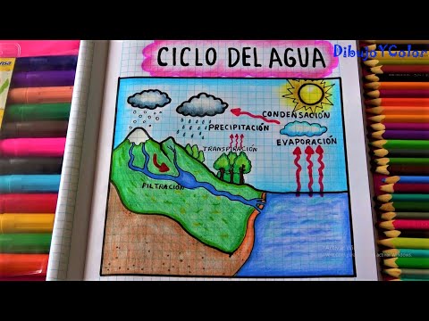 El ciclo del agua: fácil de dibujar y explicado correctamente