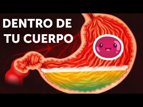 Cuerpo humano animado sin sus partes: una visión sorprendente.