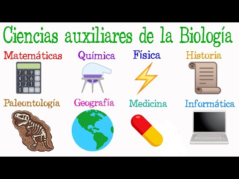 Las ramas auxiliares de la biología: un enfoque esencial