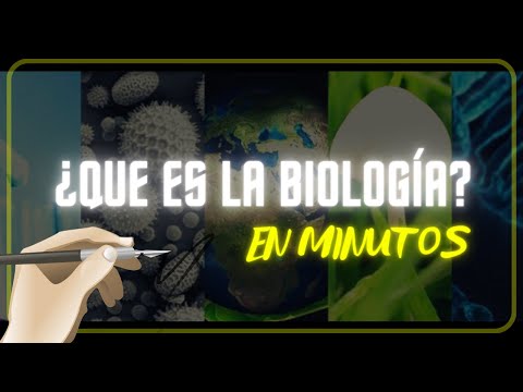 Ramas en las que se divide la biología: una breve descripción