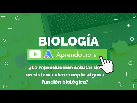 Cuál es la función biológica de la reproducción celular?