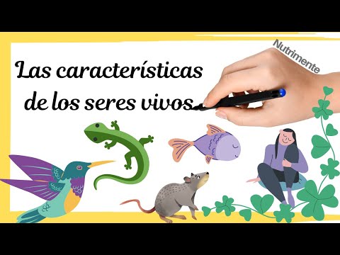 Resumen de las características esenciales de los seres vivos