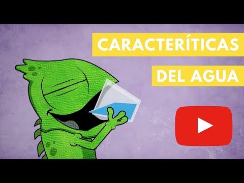 Los diferentes tipos de agua y sus características principales